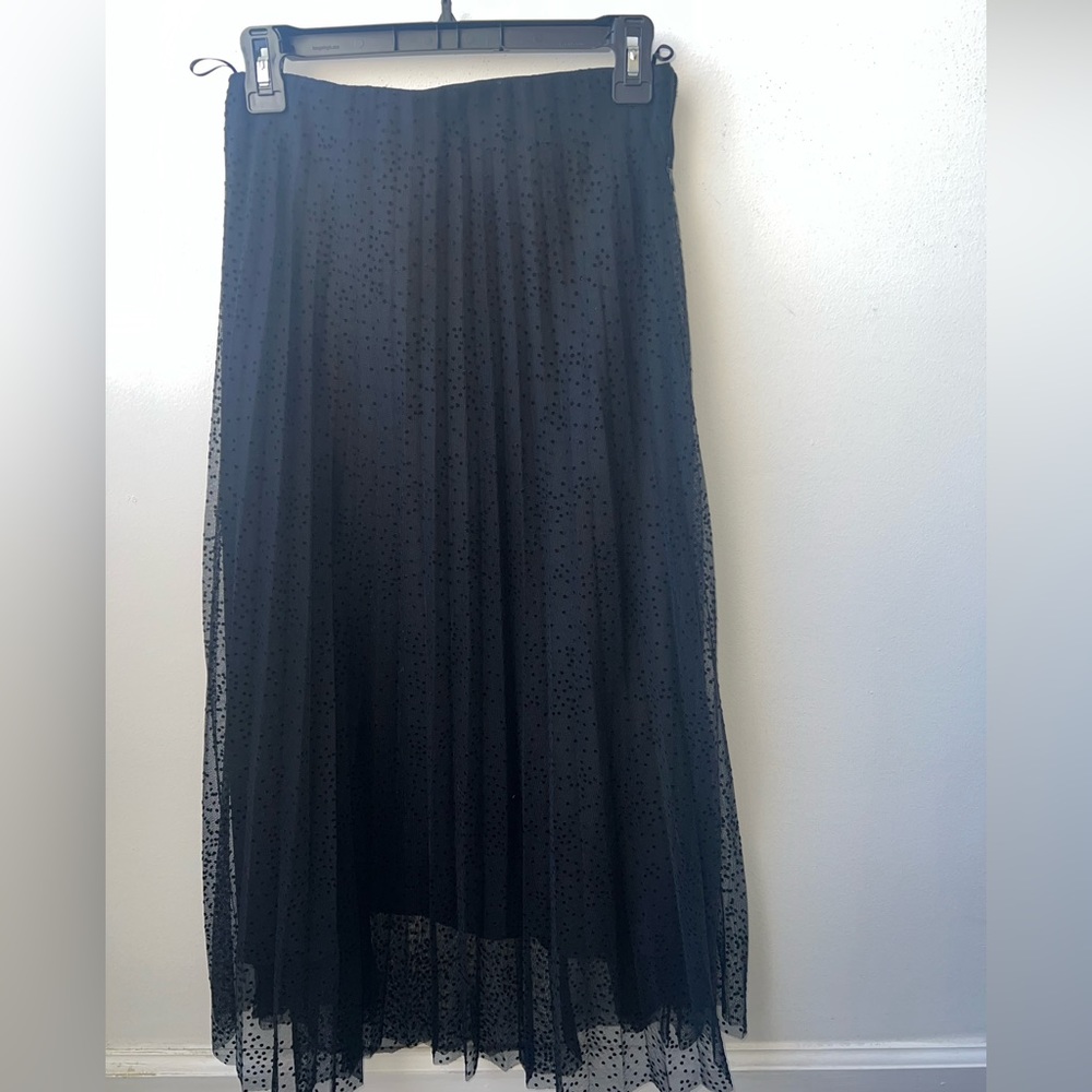 Zara 3/$40 Black on Black Maxi Skirt